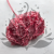 Hydrangea Royal Pink 1.png