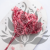 Hydrangea Royal Pink 2.png