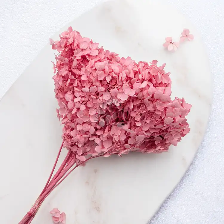 Hydrangea Royal Pink 2.png