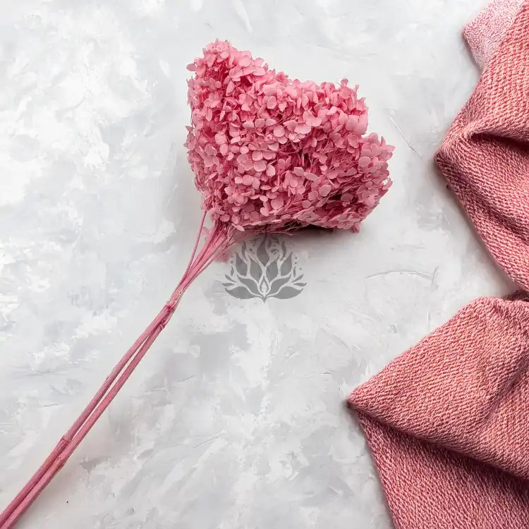Hydrangea Royal Pink 3.png