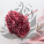 Hydrangea Royal Pink 5.png