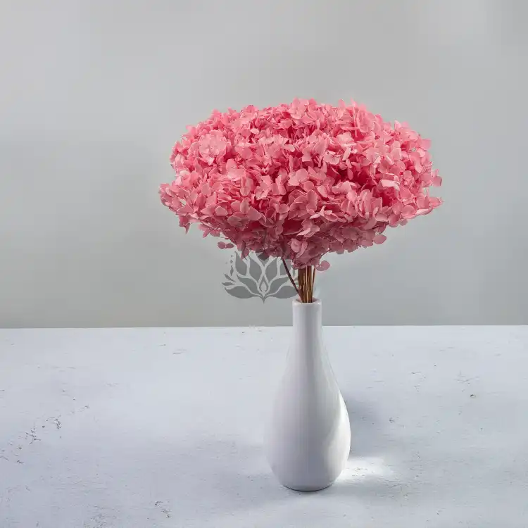 Hydrangea Pink Royal 03 5.png
