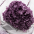 HYDRANGEA LAVENDER ROYAL 24 5.png