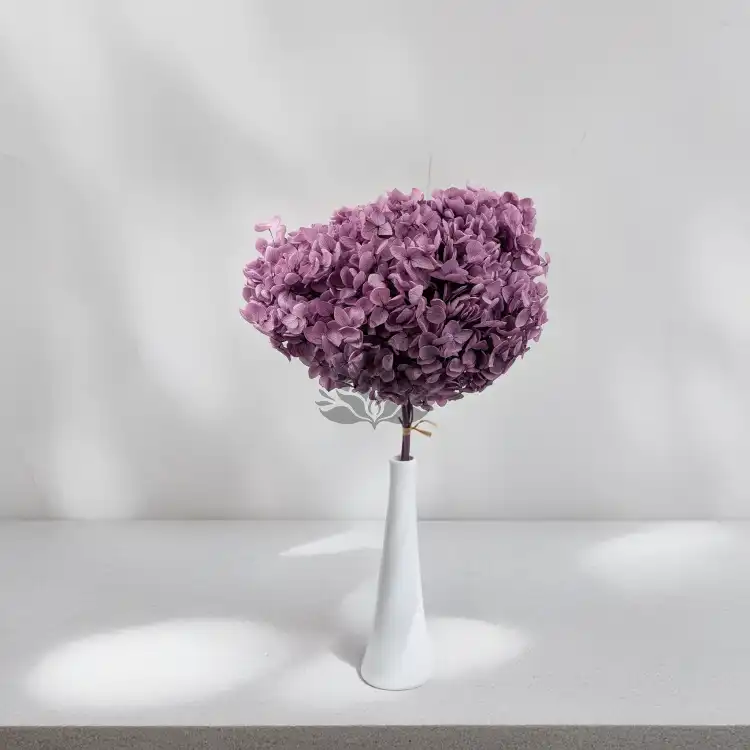 HYDRANGEA LAVENDER ROYAL 24 6.png