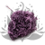 HYDRANGEA LAVENDER ROYAL 24.png