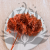 Hydrangea Royal Sand Beige 6.png