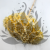 HYDRANGEA SOFT YELLOW ROYAL 11 2.png