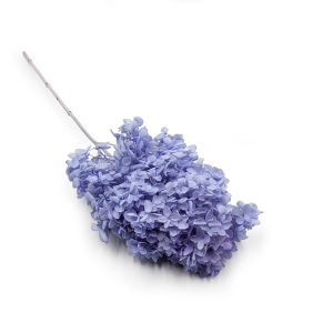 Stabilisierte Hortensie – (Hydrangea Conical) – Royal – Lavendel
