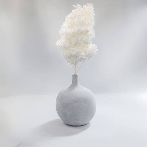Hydrangea Conical Bleached7.jpg