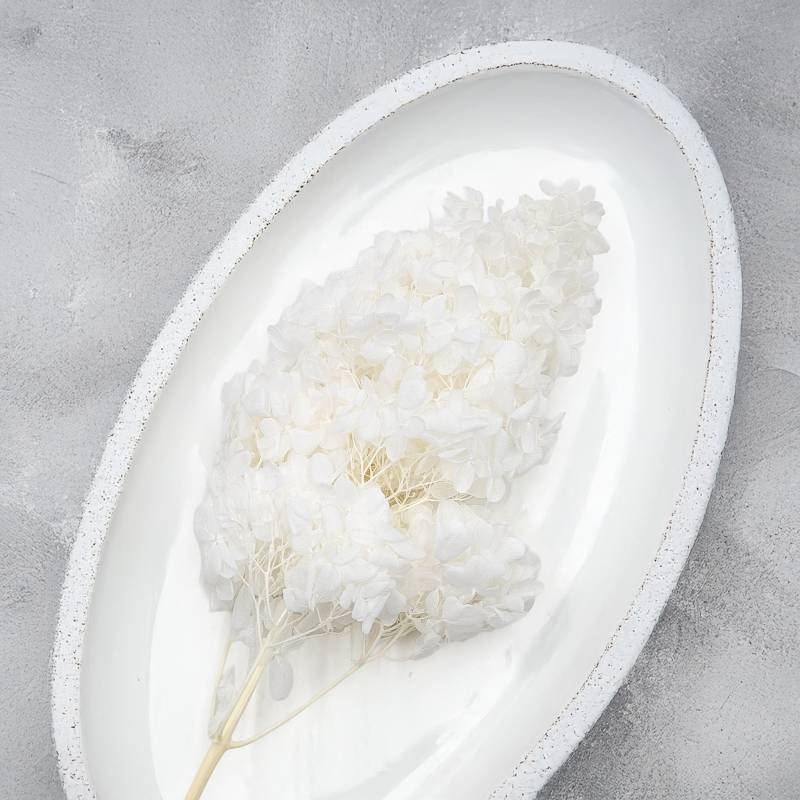 Hydrangea Conical Bleached3.jpg