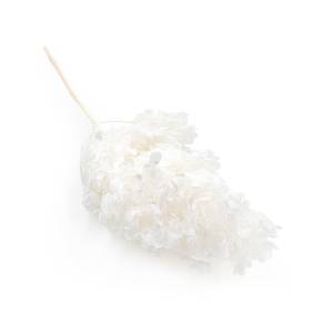 Stabilisierte Hortensie – (Hydrangea Conical) – Royal – Gebleicht Weiß