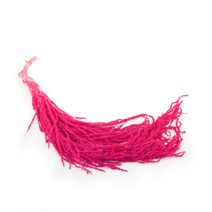 Stabilisierter Amaranthus - Royal – Fuchsia