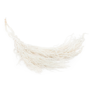 Stabilisierter Amaranthus - Royal – Gebleicht