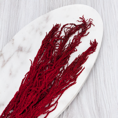 Szarlat red Royal 3.png