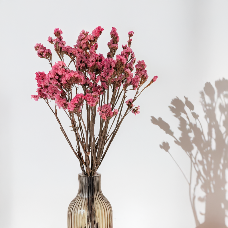 Zatrwian stabilizowany It różowy 6.png