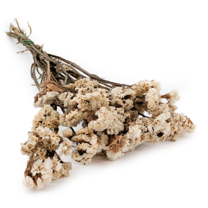  Stabilisierter Strandflieder - (Limonium sinuatum) - Weiß