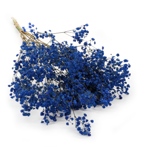 Stabilisierte Schleierkraut - (gypsophila) - Pastellblau