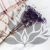 Gips pastel fiolet 3.png