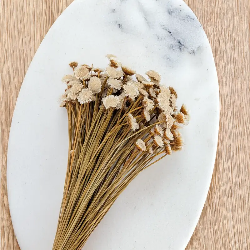 Glixia Big naturalna 3.png