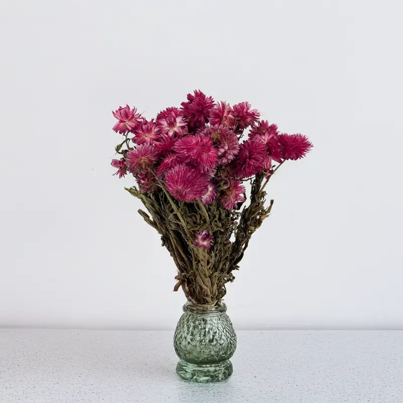 Kocanka granvia różowa 5.png