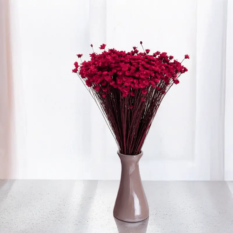 Glixia czerwona 5.png