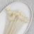 Cardo Bleached 4.png