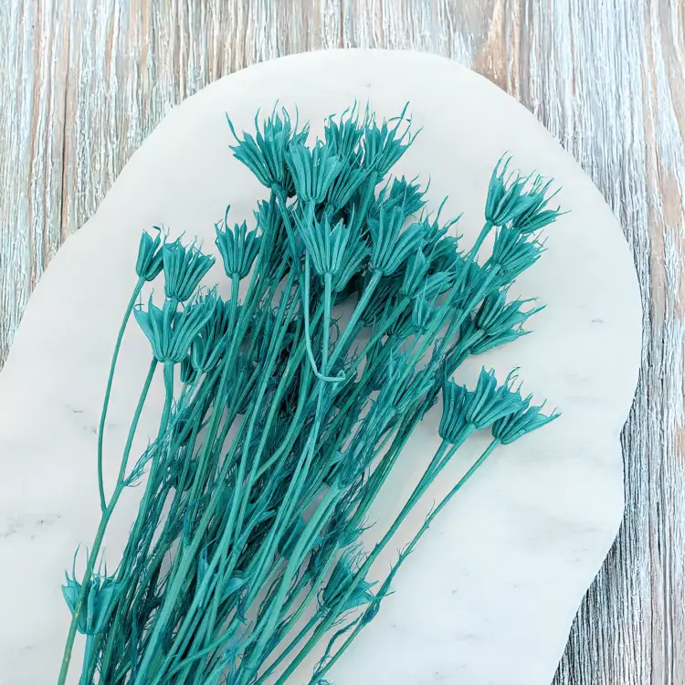 Nigella mięta 3.png