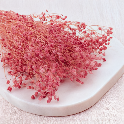 gips royal raspberry 2.png