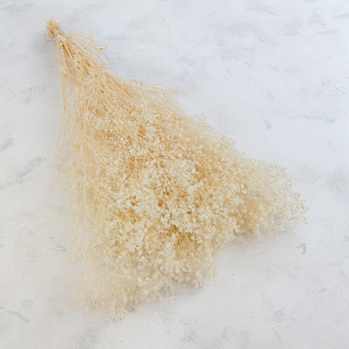 gips royal creamy white 1.png