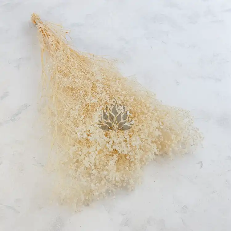 gips royal creamy white 1.png