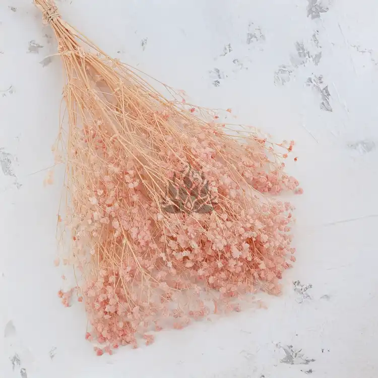 Gips royal Soft Pink 1.png