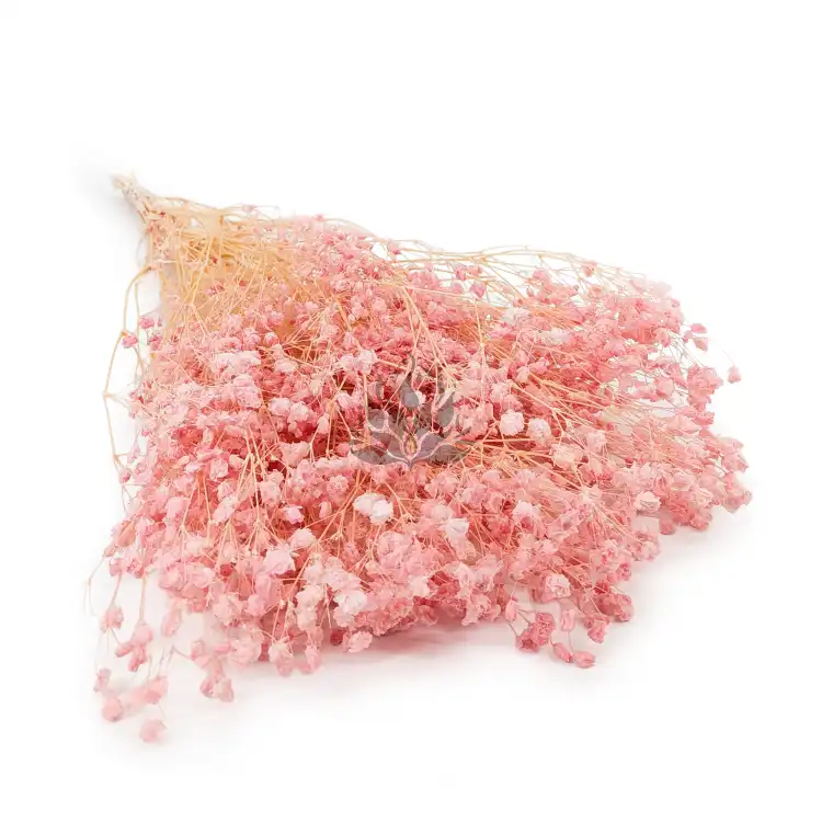gips royal baby pink.png