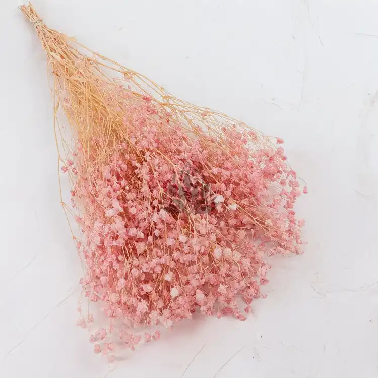 gips royal baby pink 1.png