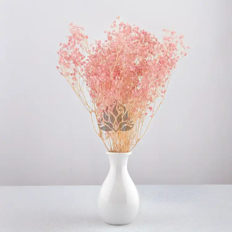 gips royal baby pink 5.png