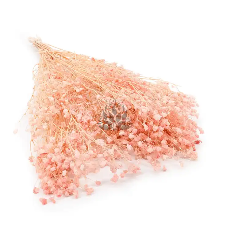 Gips royal Soft Pink 00.png