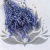 Briza Maxima fioletowa 2.png