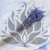 Briza Maxima fioletowa 3.png