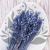 Briza Maxima fioletowa 4.png