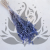 Briza Maxima fioletowa 1.png