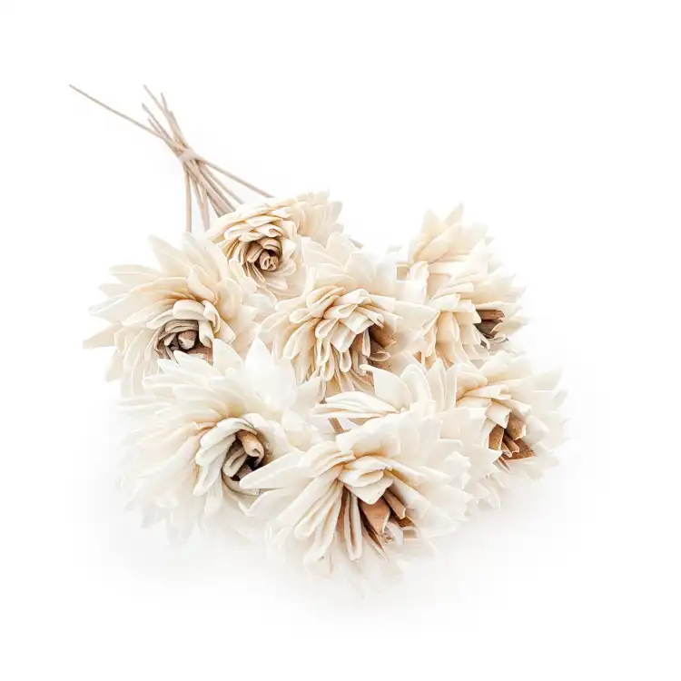 Shola - sola - Electra bukiet 10szt.png