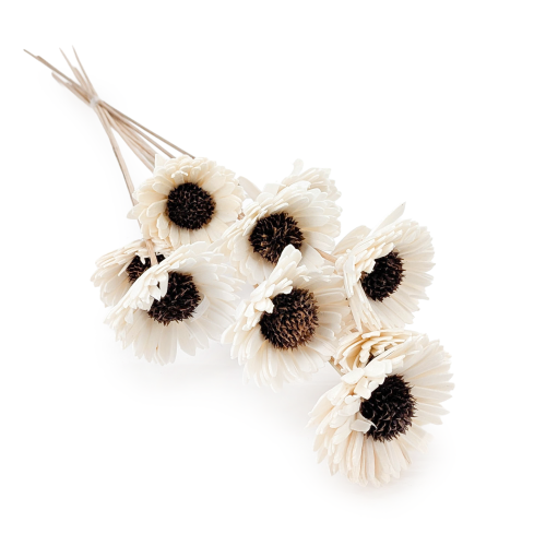 Shola - sola - Sunflower bukiet 10szt.png