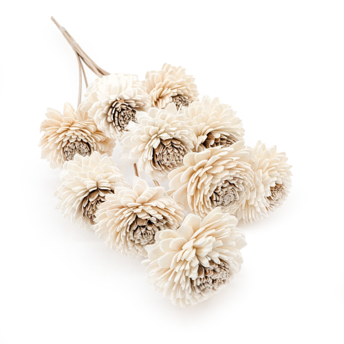 Shola - sola - Skin Zinnia bukiet 10szt.png