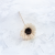 Shola Sunflower 2.png