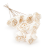 Shola - sola - Rose Special bukiet 10szt.png