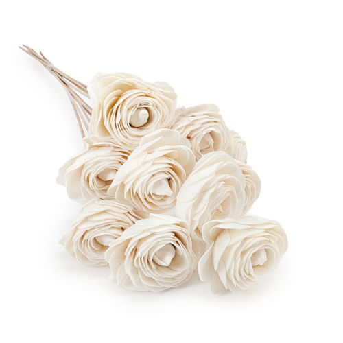 Shola - sola - Beauty Rose bukiet 10szt.png