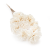 Shola - sola - Carnation bukiet 10szt.png