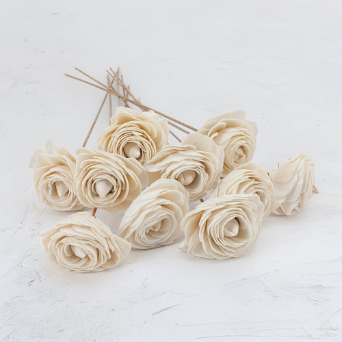 Shola Beauty Rose 2.png
