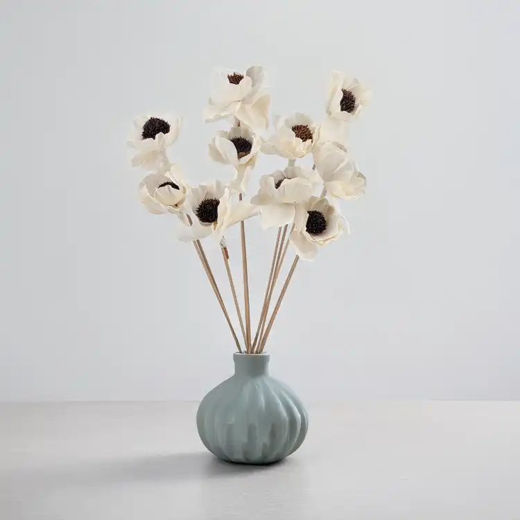 Shola Poppy.png