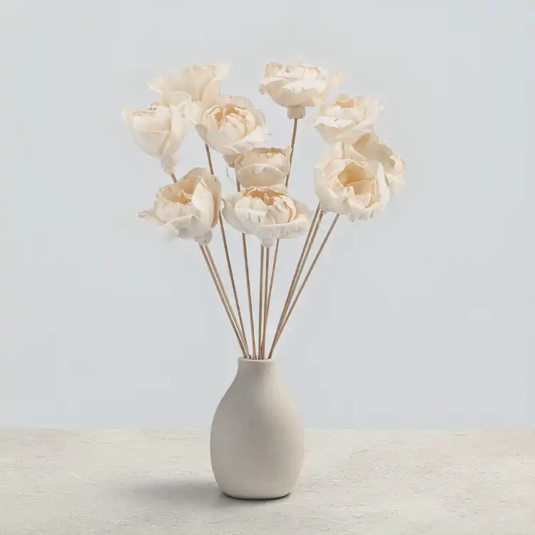 Shola Peony.png