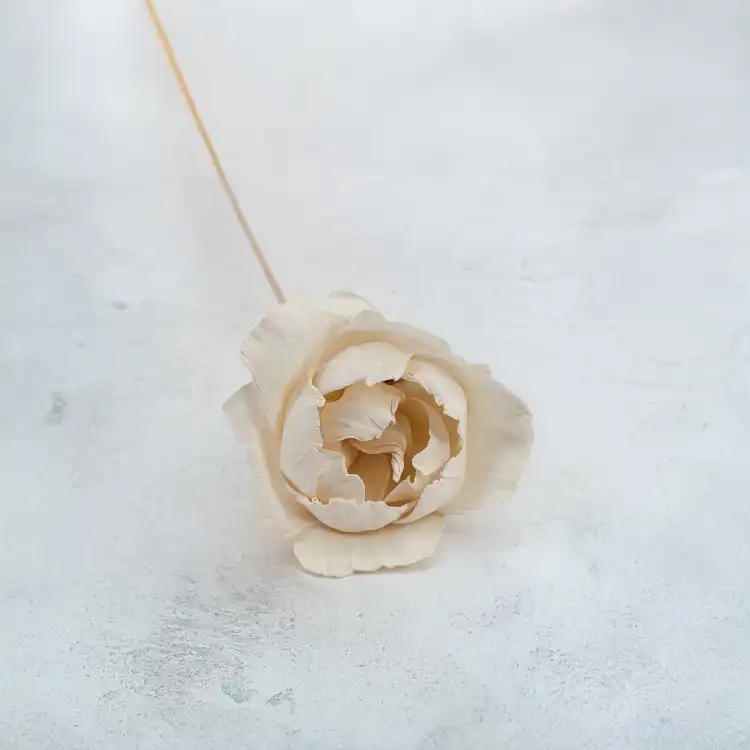 Shola Peony 2.png